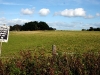 edgcombe14