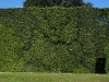 edgcombe3
