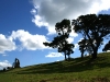 edgcombe5