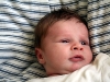 attentive