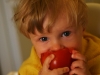 tomate1