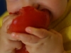 tomate3