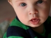 zunge