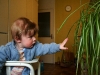 greifen_pflanze