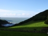 lynton16
