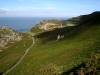 lynton19