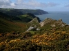 lynton5