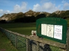 lynton9