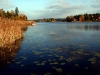 amsee4