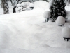 nochmehrnarnia