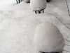 nochmehrnarnia2