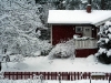 nochmehrnarnia4