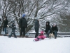 on-a-winter-sunday-9966