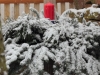 schnee16