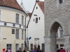 tallinn-small-43