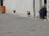 day3_mittag_venezia_12